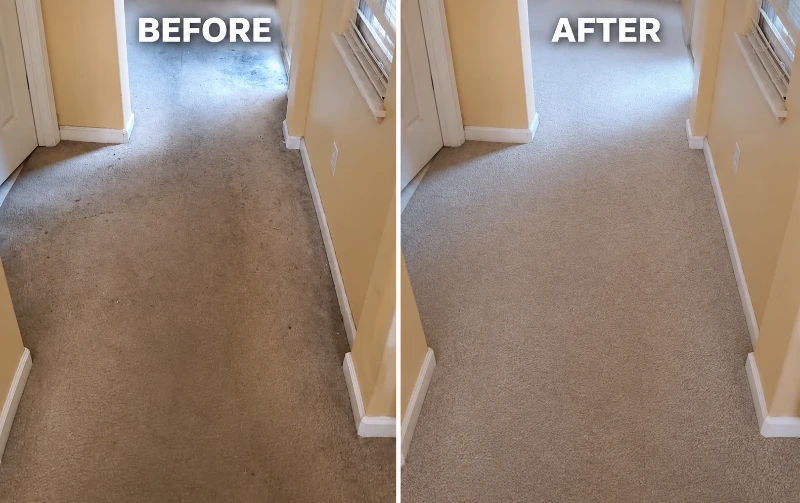 Before and after pet stain carpet cleaning South Medford Oregon