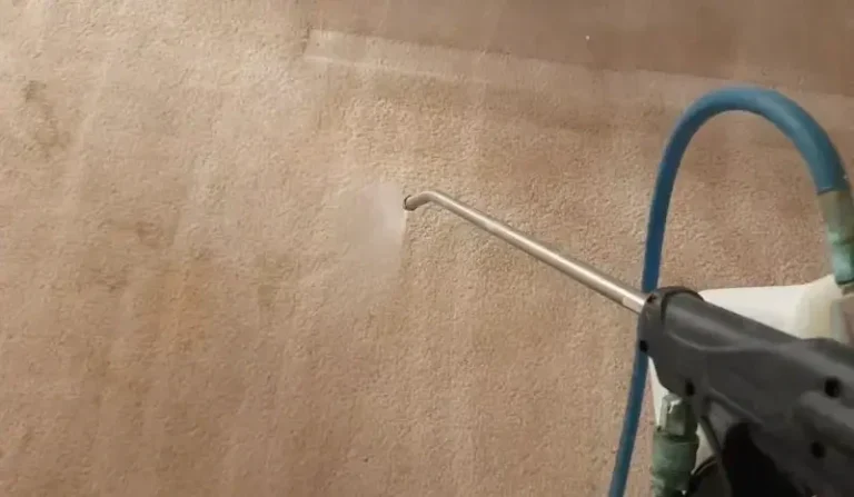 Sprinkling solution to clean carpet