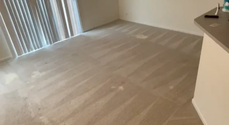Carpet cleaning process