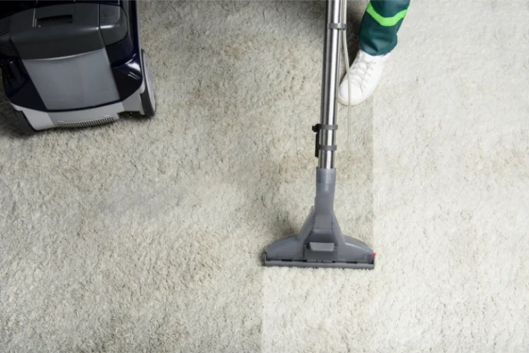 carpet cleaners medford